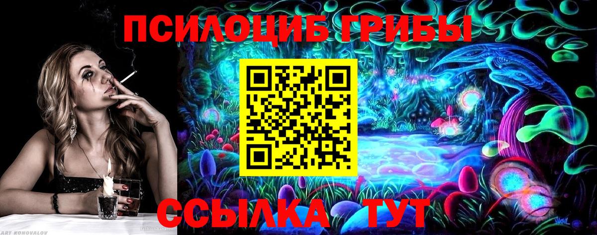 Новодвинск  Галлюциногенные грибы мицелий  Вход с VPN  Псилоцибиновые грибы Psilocybe 
